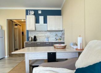 Квартира на продажу студия, 26 м2, деревня Раздоры, улица Липовой Рощи, 1к1