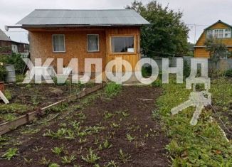 Продажа дачи, 30 м2, СНТ Вега-1, СНТ Вега-1, 615