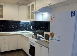 Сдаю квартиру студию, 31 м2, поселок Бугры, Гаражный проезд, 27к2, ЖК Новые Горизонты