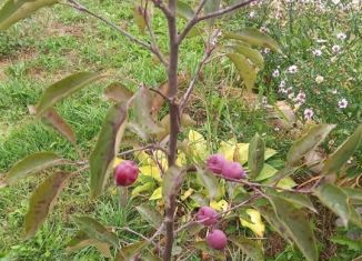 Продаю дачу, 38.9 м2, Обнинск, СНТ Электромонтажник, 68