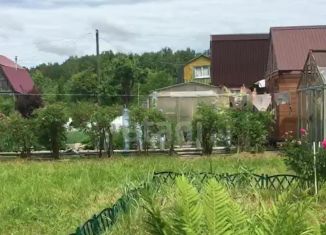 Продаю дачу, 36 м2, СНТ Луговой, СНТ Луговой, 262