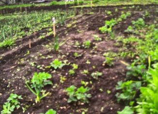 Дача на продажу, 12 м2, СНТ Пушинка, СНТ Пушинка, 398