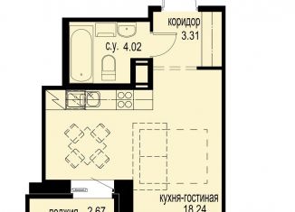 Квартира на продажу студия, 26.9 м2, Санкт-Петербург, муниципальный округ Светлановское