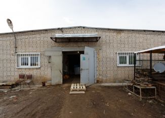 Рц лешино. Лешино Великий Новгород. Лешино Новгородская обл. Новое Лешино Великий Новгород.