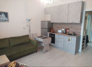 Аренда квартиры студии, 28 м2, деревня Раздоры, улица Липовой Рощи, 6к2