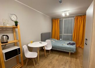 Продажа квартиры студии, 22 м2, посёлок Парголово, Толубеевский проезд, 8к2