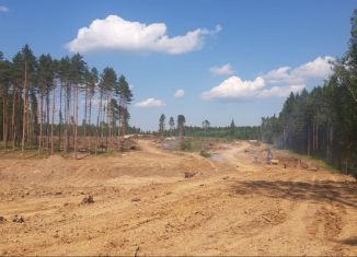 Продаю участок, 7000 сот., деревня Совьяки, Школьная улица