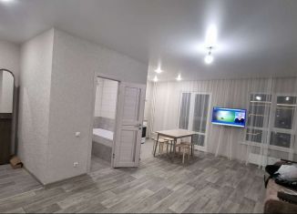 Сдам 2-комнатную квартиру, 54 м2, Барнаул, Павловский тракт, ЖК Лапландия