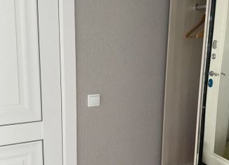 Продаю 1-комнатную квартиру, 28.8 м2, деревня Крутые Выселки, улица Герасимова, 2К, ЖК Изумрудный Город