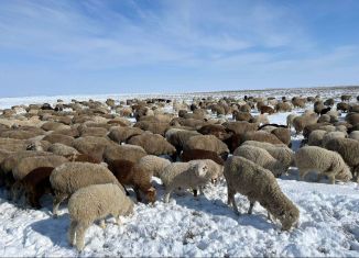 Продажа земельного участка, 1000 сот., поселок Прикаспийский