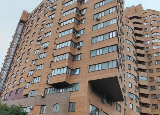 Четырехкомнатная квартира на продажу, 269.1 м2, Москва, Южнопортовый район, 3-й Крутицкий переулок, 11
