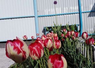 Продам дом, 98 м2, СТ Строитель-1