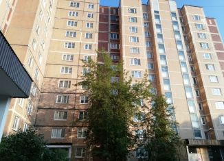 Продажа двухкомнатной квартиры, 54 м2, Электроугли, Марьинская улица, 9