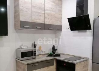 Сдача в аренду 1-комнатной квартиры, 30 м2, Тюмень, Верхнетарманская улица, 1, ЖК Новый Мыс 2.0