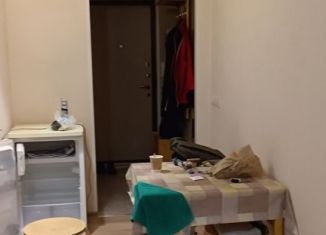 Сдам в аренду квартиру студию, 22.5 м2, Мурино, Петровский бульвар, 7, ЖК Ласточка
