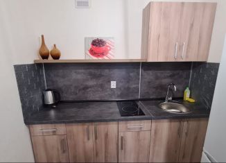 Сдача в аренду 1-комнатной квартиры, 35.5 м2, поселок Бугры, Гаражный проезд, 27к2, ЖК Новые Горизонты