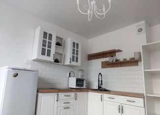 Сдам 1-комнатную квартиру, 32 м2, Мурино, Ручьёвский проспект, 2, ЖК Авиатор