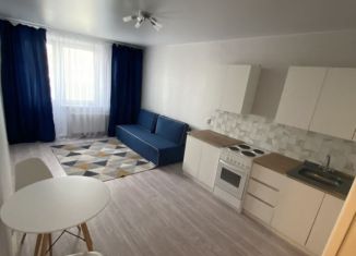 Продаю квартиру студию, 27 м2, Ростов-на-Дону, ЖК Платовский, улица Теряева, 4