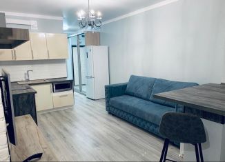 Квартира на продажу студия, 27 м2, Краснодар, улица им. Героя Сарабеева В.И., 5к3, ЖК Керченский