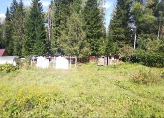 Продажа дачи, 20 м2, Пермь, Свердловский район, коллективный сад Надежда-3 при Пермском вагоноремонтном заводе, 33