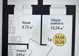 Продажа 1-комнатной квартиры, 27 м2, село Семёновка