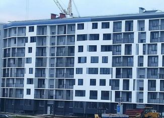 Продажа 2-комнатной квартиры, 59.2 м2, деревня Дерябиха, деревня Дерябиха, 78