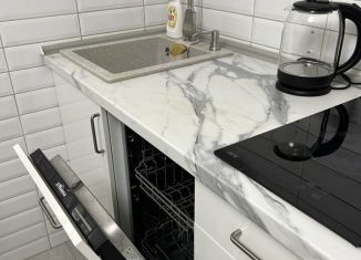 Продается квартира студия, 24.3 м2, Мурино, проспект Авиаторов Балтики, 3к1, ЖК Девятый вал