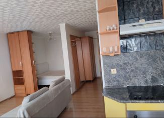 Квартира в аренду студия, 41 м2, Самара, улица Агибалова, 70, ЖК Никита