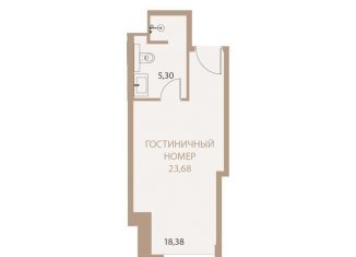 1-комнатная квартира на продажу, 23.7 м2, Липецк