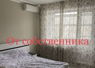 Сдается в аренду 1-ком. квартира, 30 м2, Энгельс, улица Колотилова, 56