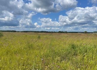 Продаю земельный участок, 25 сот., деревня Пекшиксола, Полевая улица, 20