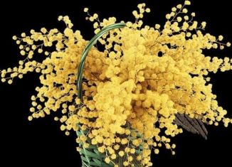 Продам участок, 8.2 сот., село Ишеево