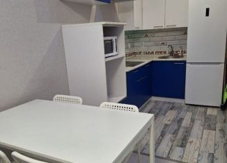 Сдача в аренду 2-ком. квартиры, 50 м2, Казань, улица Азата Аббасова, 5