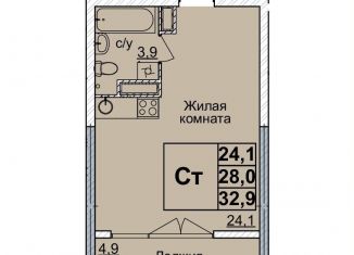Продается квартира студия, 32 м2, Нижний Новгород, метро Горьковская