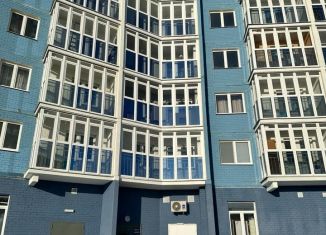 Продается однокомнатная квартира, 38 м2, Орёл, улица Генерала Родина, 68, микрорайон Весёлая Слобода