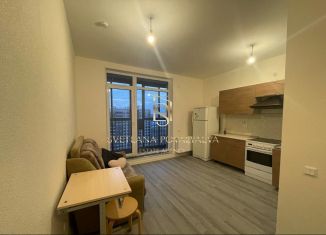 Сдам квартиру студию, 21.6 м2, поселок Бугры, Тихая улица, 3к2, ЖК Новые Горизонты