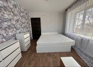 Продается 2-комнатная квартира, 37.8 м2, Нижегородская область, улица Филиппова, 1