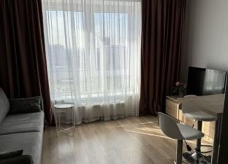 Сдается квартира студия, 23.1 м2, Люберцы, улица Лётчика Ларюшина, 6к1, ЖК Жулебино Парк