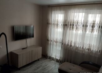 Сдаю в аренду 1-комнатную квартиру, 32 м2, деревня Куюки, улица 21-й Квартал, 8