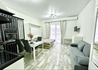 Квартира в аренду студия, 30 м2, село Варваровка, улица Калинина, 150к1, ЖК Резиденция Анаполис