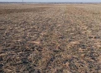 Продажа земельного участка, 1050 сот., Семисотское сельское поселение