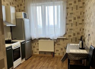 1-комнатная квартира в аренду, 36 м2, посёлок Шушары, Вилеровский переулок