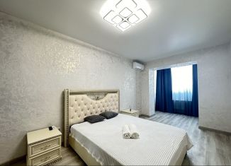 Однокомнатная квартира в аренду, 40 м2, Ставрополь, улица 50 лет ВЛКСМ, 113