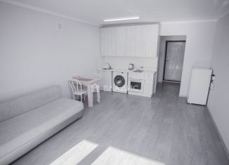 Продаю квартиру студию, 28 м2, Благовещенск, Заводская улица, 4/2