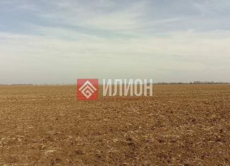 Продам земельный участок, 310 сот., село Раздолье, улица Мира