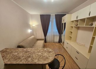 Сдаю квартиру студию, 25 м2, Санкт-Петербург, проспект Ветеранов, 171к5