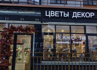 Продажа помещения свободного назначения, 74 м2, Санкт-Петербург, Комендантский проспект, 59к1, муниципальный округ Коломяги