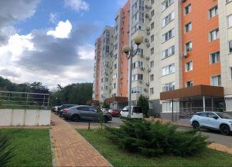 Продается двухкомнатная квартира, 45 м2, село Раздольное, Тепличная улица, 83