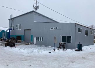 Сдача в аренду складского помещения, 150 м2, село Лопатино, Уральская улица, 34А