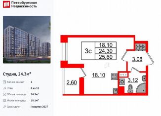 Продаю квартиру студию, 24.3 м2, Санкт-Петербург, Приморский район